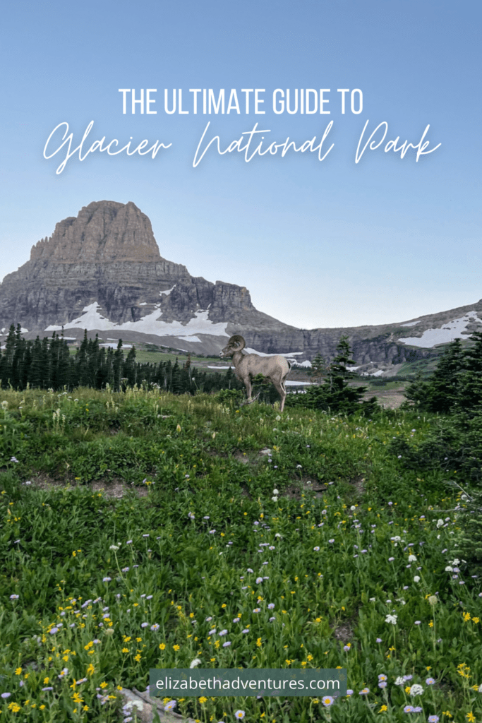 Glacier National Park: Everything You Need to Know | Elizabeth Adventures